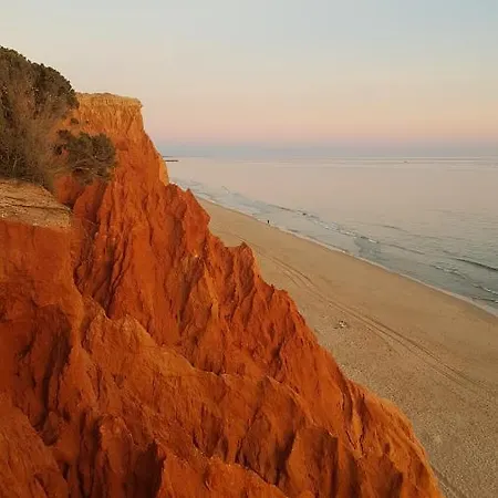 Sandy Apartamento